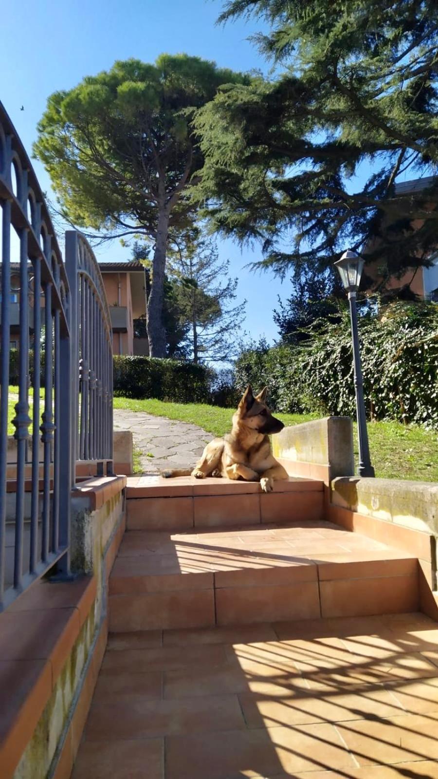 Appartamenti Pesaro Mare Ledimar 外观 照片